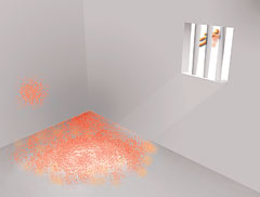 <a href='http://www.bygwaah.com/modules/editorials/article.php?storyid=29'>Bodies of evidence</a>